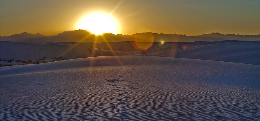 White Sands 6 Photograph by Lou  Novick