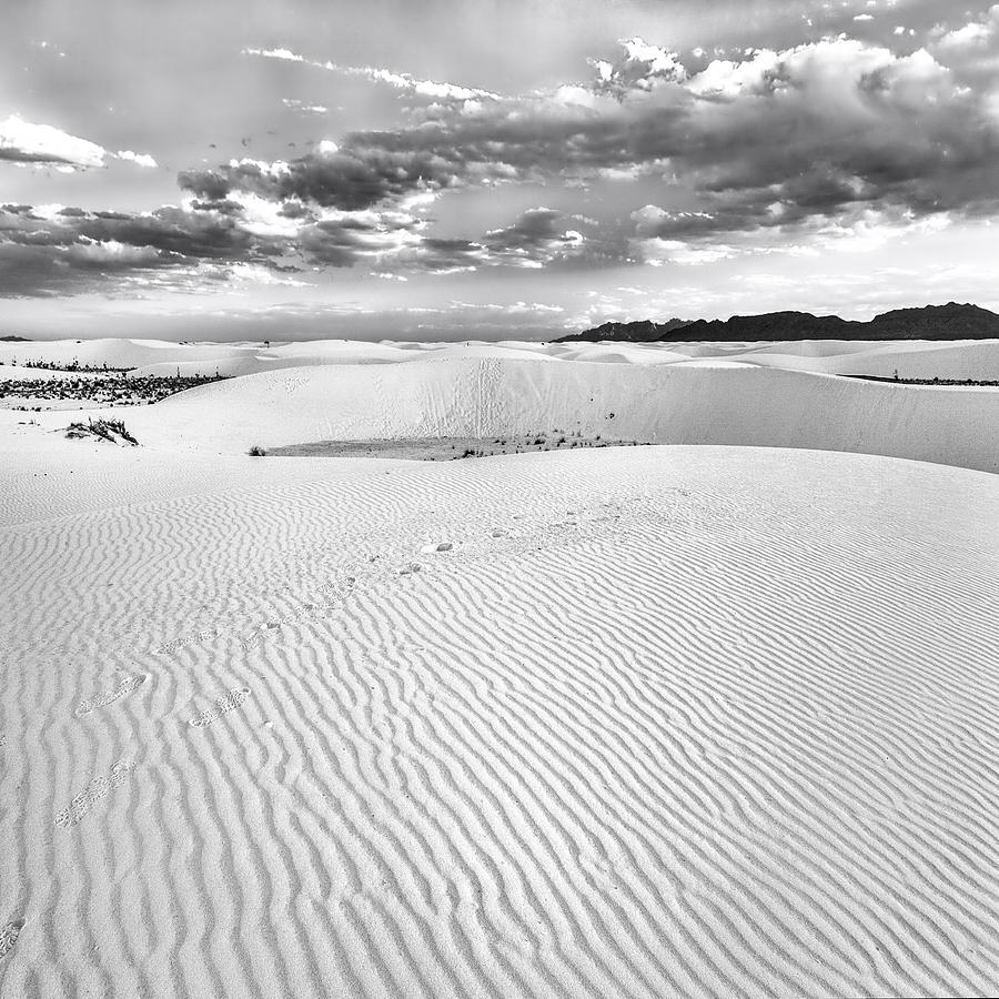 White Sands #7 Photograph by Diana Powell