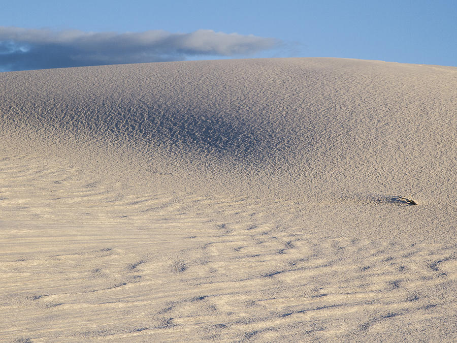 White Sands Abstract Photograph by Jean Noren