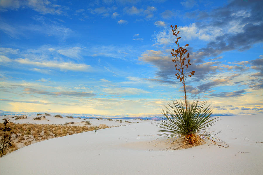 White Sands Afternoon 1 Photograph by Alan Vance Ley