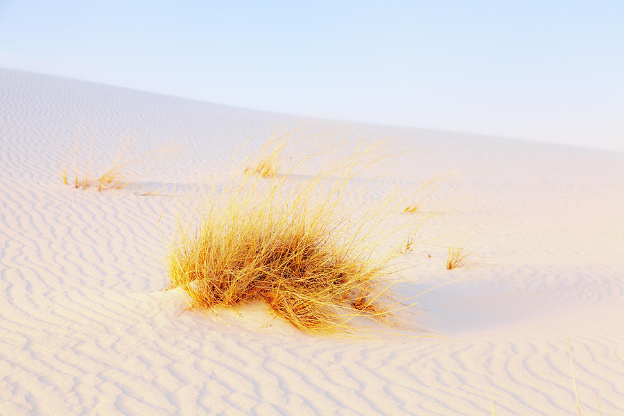 White Sands Photograph by Alexey Stiop