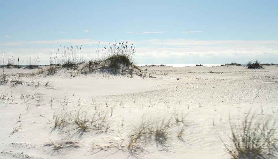 White Sands Photograph by Anthony Wilkening