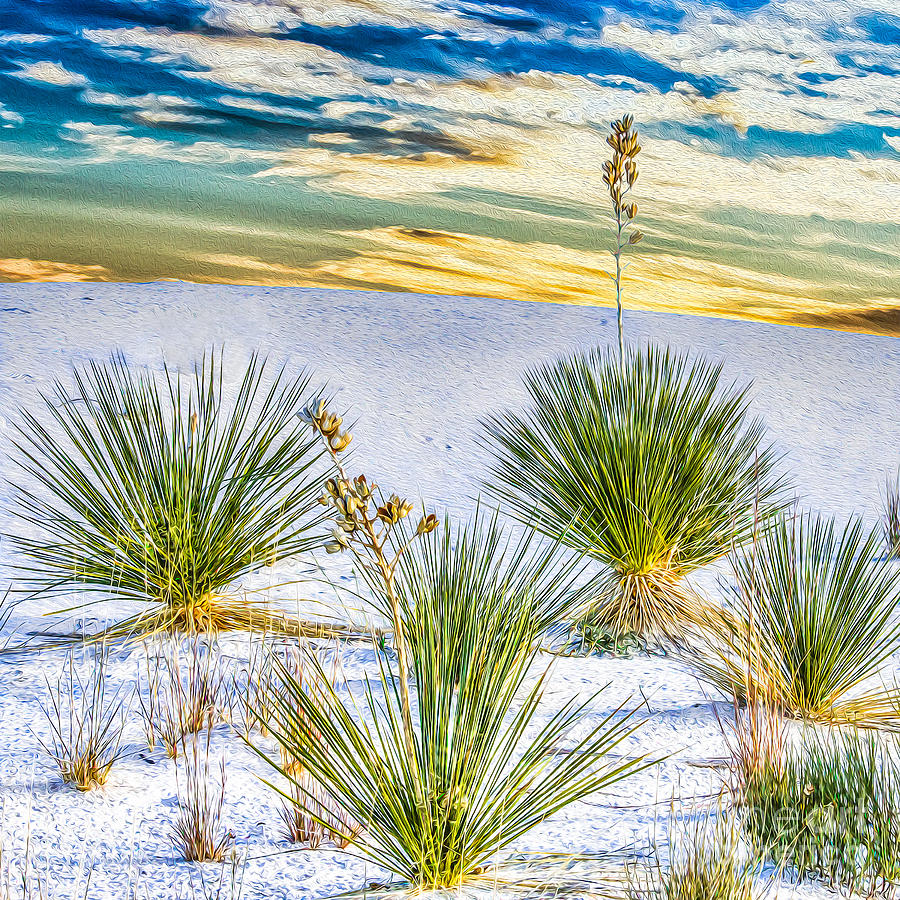 White Sands at Dawn Photograph by Randy Jackson