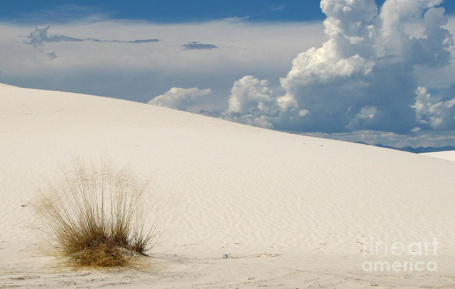 White Sands Blue and White Beauty Photograph by Marilyn Smith