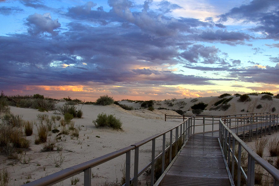 White Sands Boardwalk at Sunset Photograph by Diana Powell
