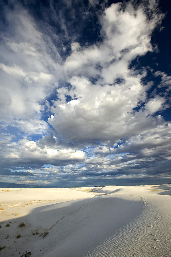 White Sands Dunes Photograph by Diana Powell
