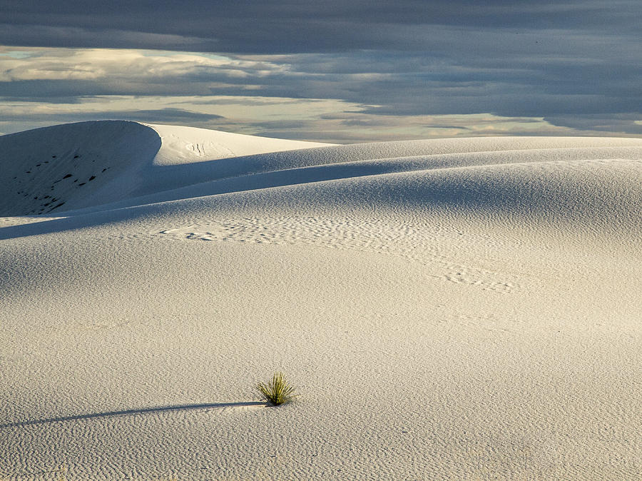 White Sands Evening Photograph by Jean Noren
