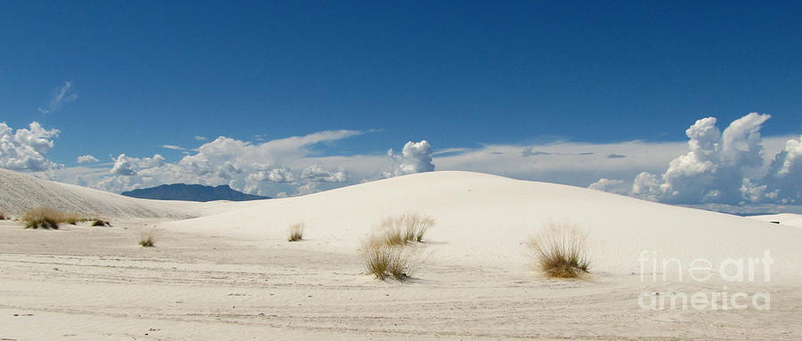 White Sands Landscape Photograph by Marilyn Smith