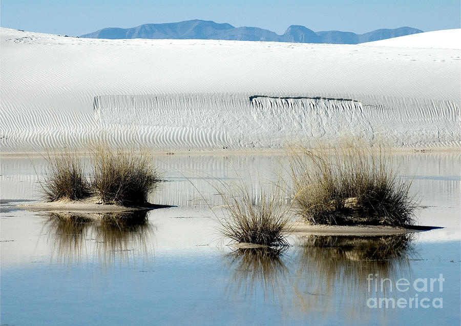 White Sands Photograph - White Sands by Mae Wertz