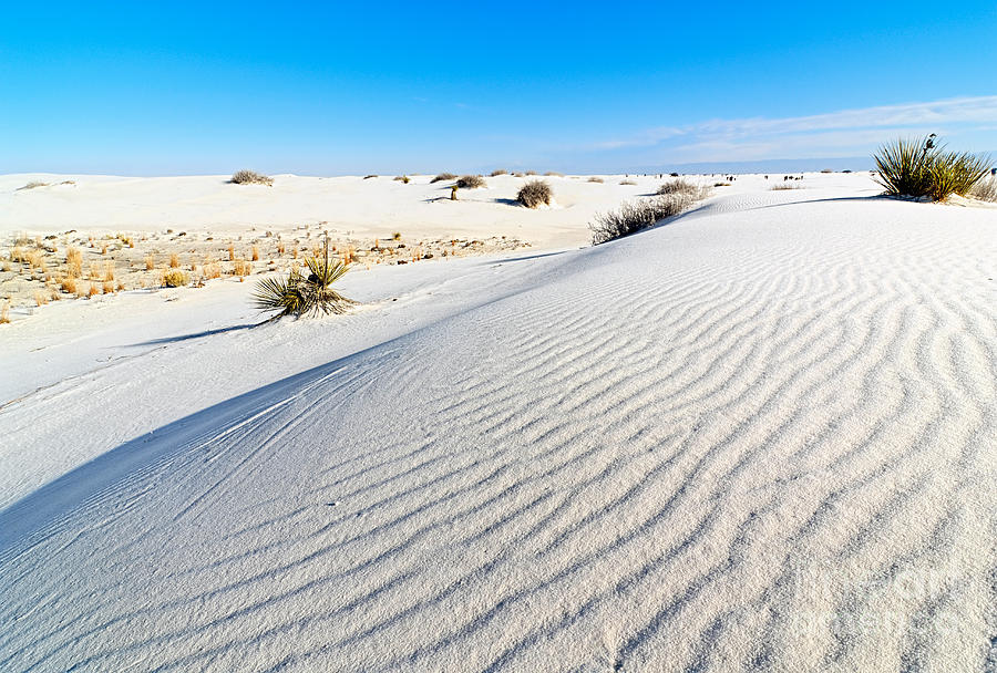 Landscape Photograph - White Sands - Morning view White Sands National Monument in New Mexico. by Jamie Pham
