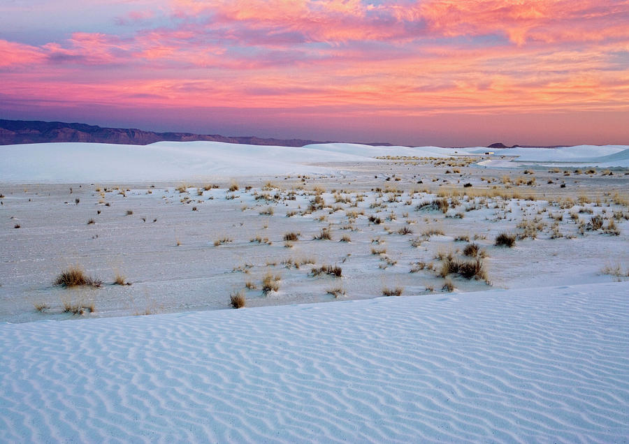 White Sands National Monument Photograph - White Sands National Monument by Bob Gibbons/science Photo Library