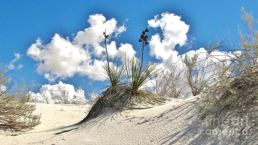 White Sands National Monument Photograph by Marilyn Smith