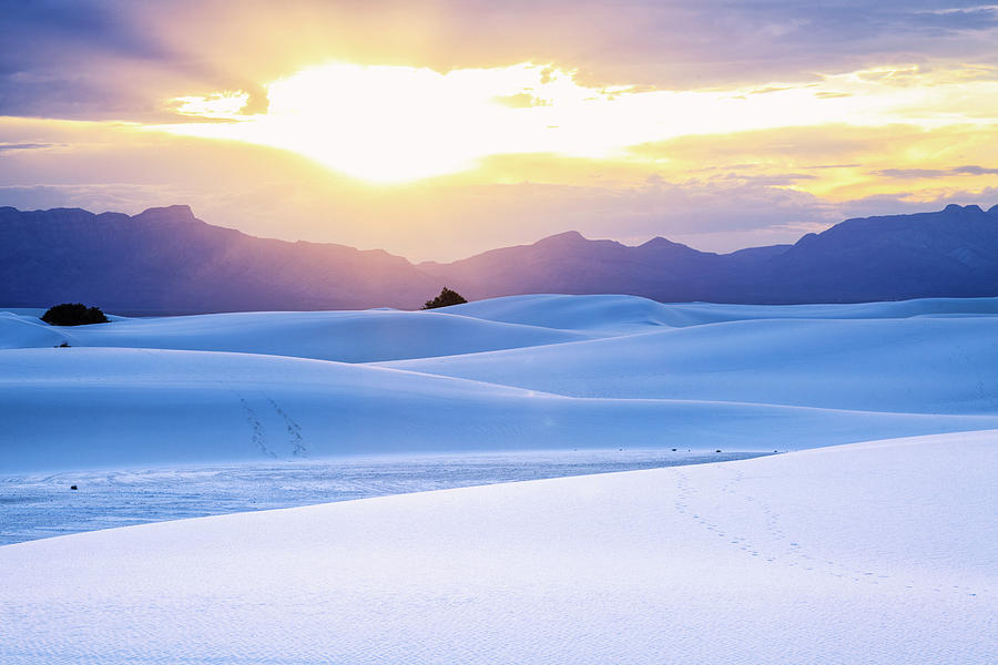 White Sands National Monument Photograph by Michele Falzone