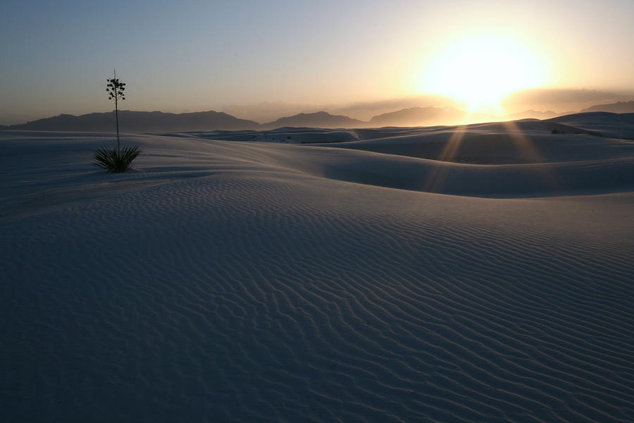 White Sands near sunset Photograph by Jetson Nguyen