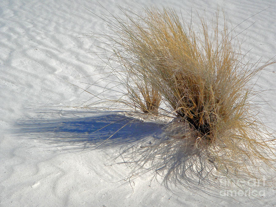 Desert Photograph - White Sands New Mexico Shadows by Gregory Dyer