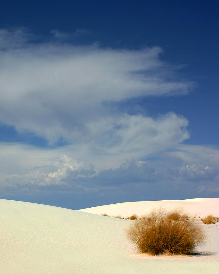 White Sands Peace Photograph by Jack Pumphrey