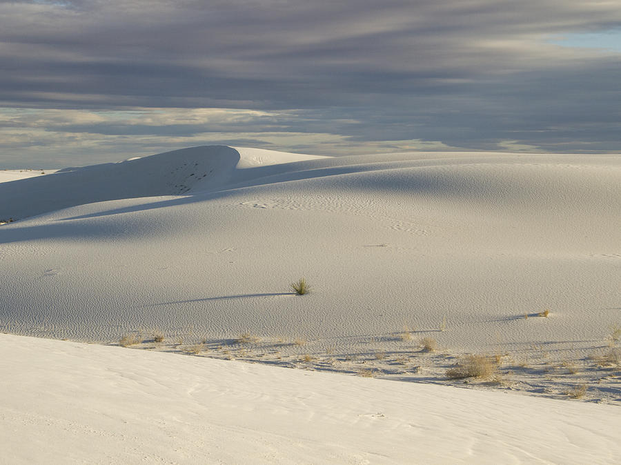 White Sands Scenic Photograph by Jean Noren