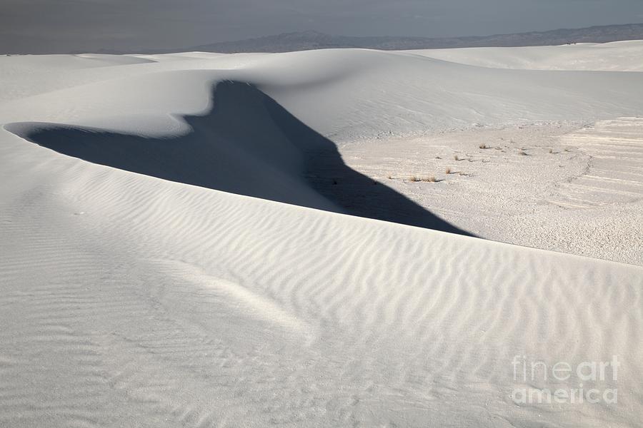 White Sands Shadow Photograph by Adam Jewell