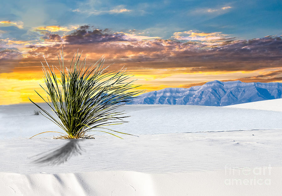White Sands Sunrise Photograph by Randy Jackson