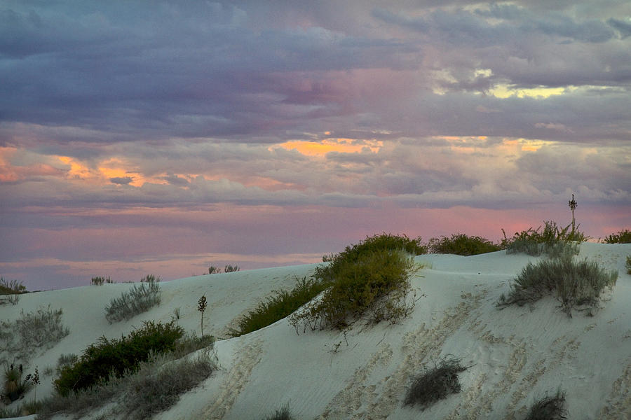 White Sands Sunset Photograph by Diana Powell