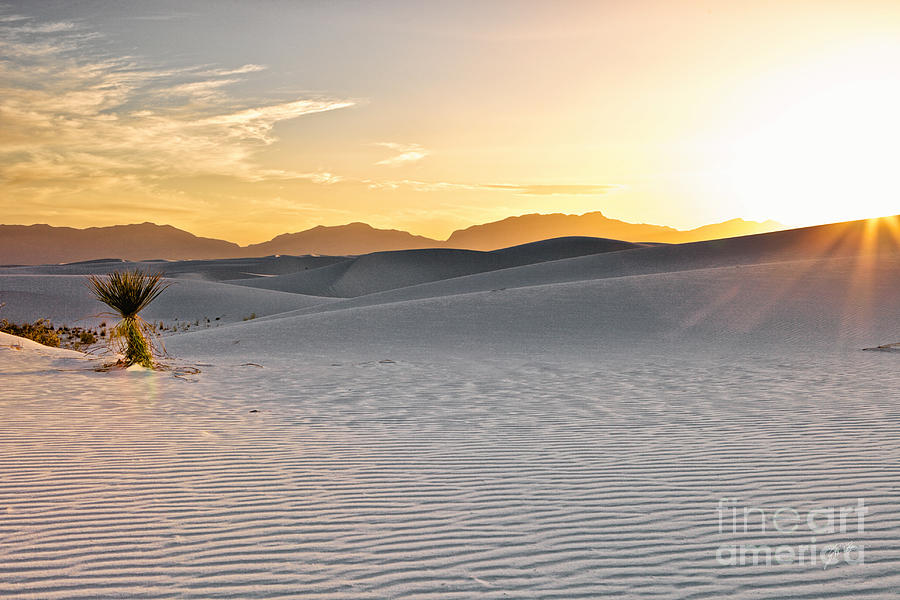 White Sands Sunset Photograph By Erika Weber