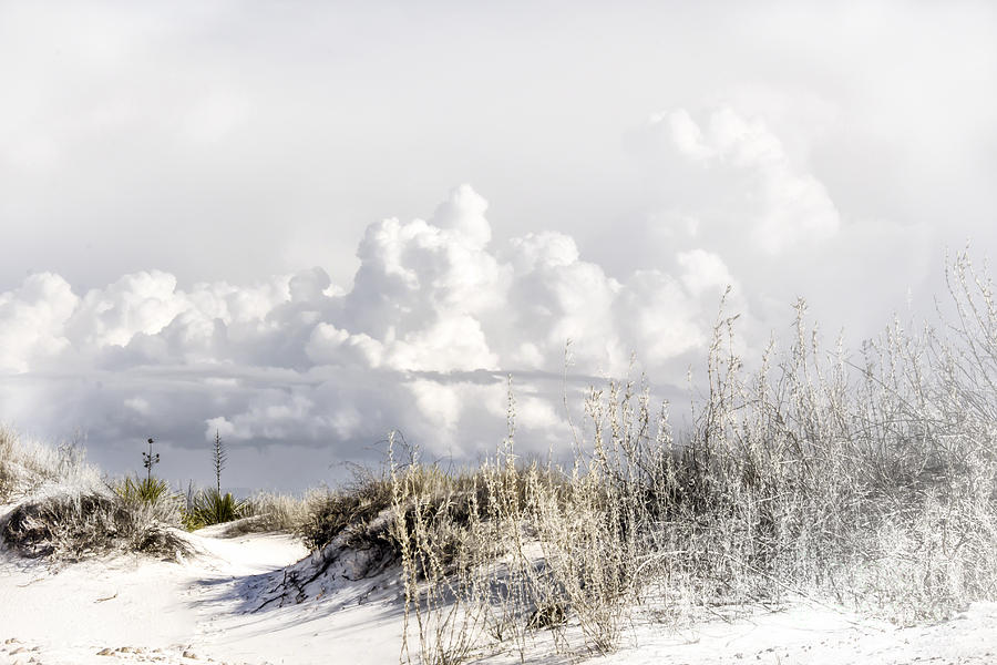 White Sands Winter Digital Art by Georgianne Giese