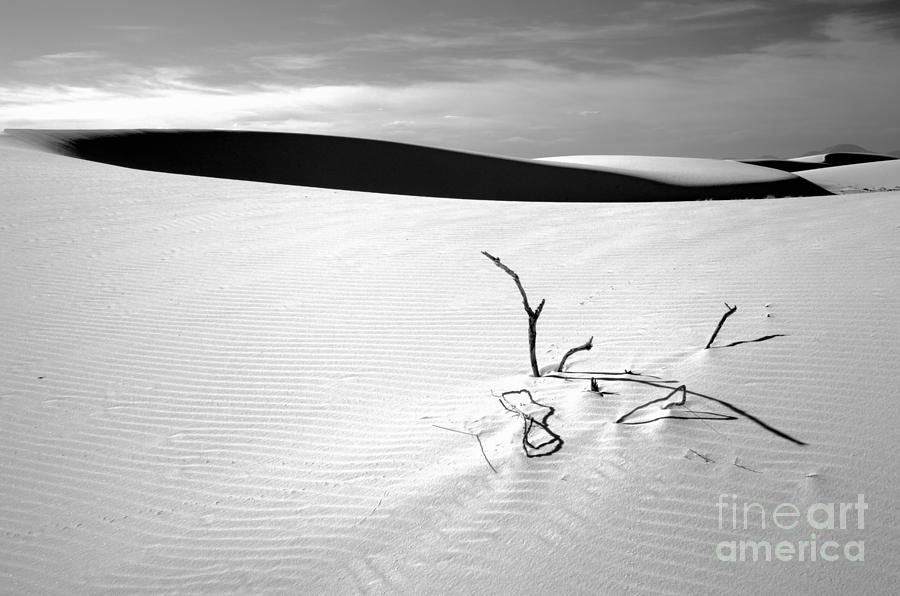 White Sands Black And White Photograph by Adam Jewell