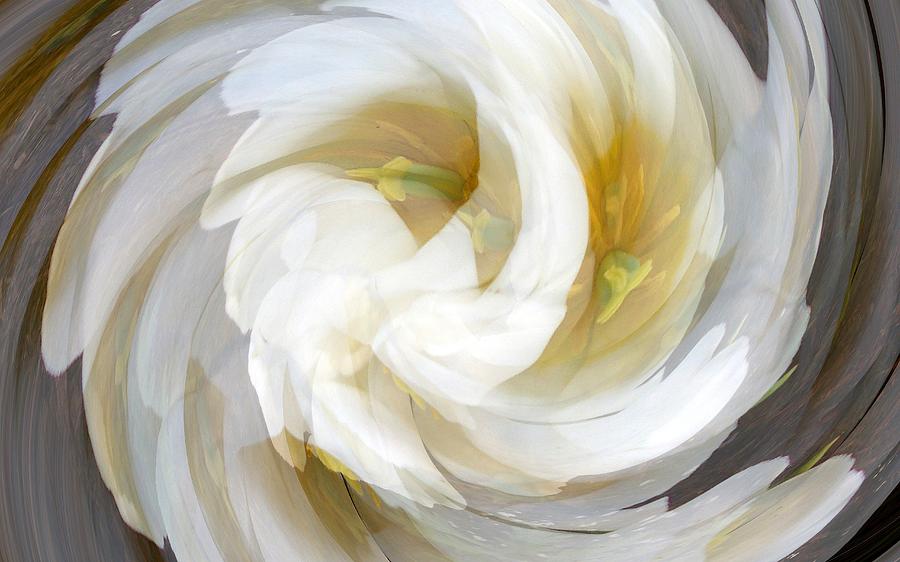 Flower Photograph - White Satin Swirl by BackHome Images