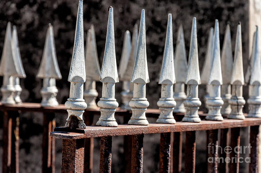 New Orleans Photograph - White Spearheads on Wrought Iron 2 by Kathleen K Parker