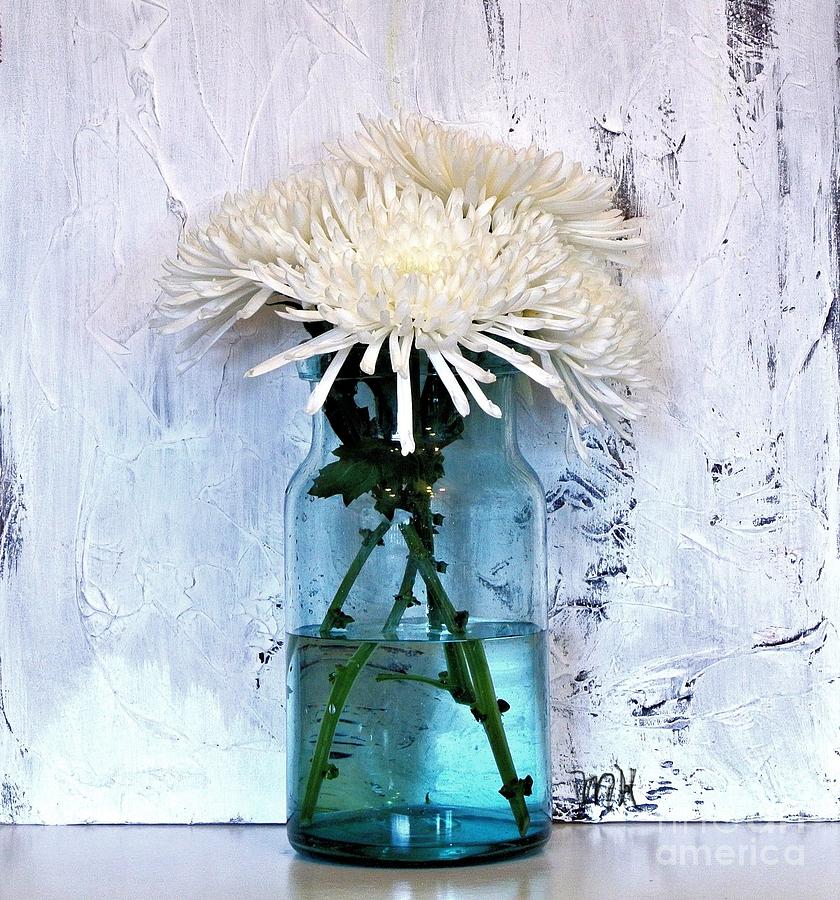 White Spider Mums in Aqua Jar Photograph by Marsha Heiken | Fine Art ...