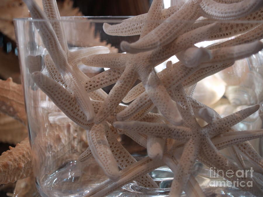 White Starfish Filled Bowl Photograph by Robin Pedrero