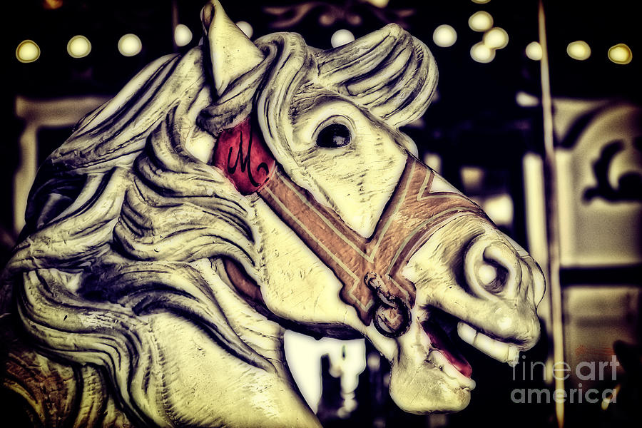 Vintage Photograph - White Steed - Antique Carousel by Colleen Kammerer