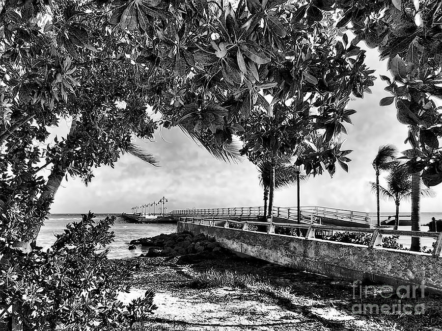 White Street Pier Key West Photograph