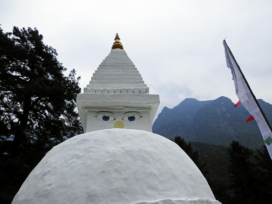 White Stupa Photograph by Pema Hou