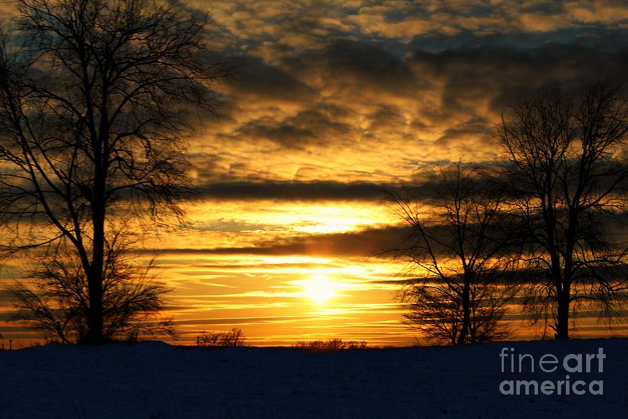 Winter Photograph - White Sunset by Scott Bennett