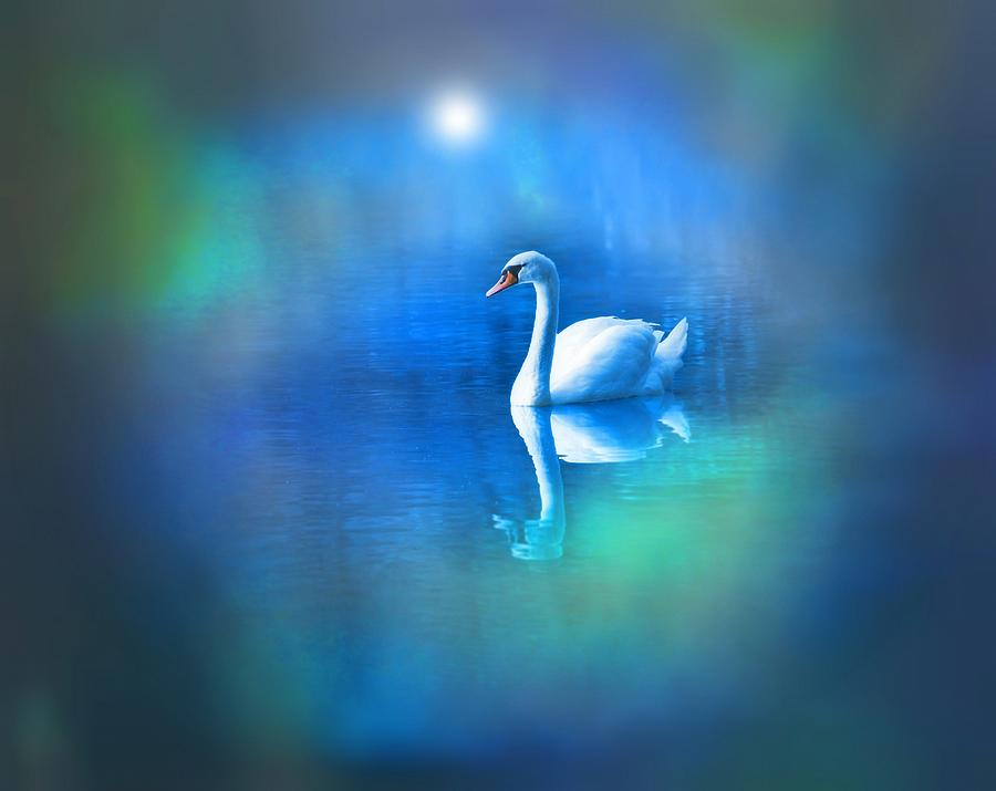White Swan in blue fog Digital Art by Lilia D
