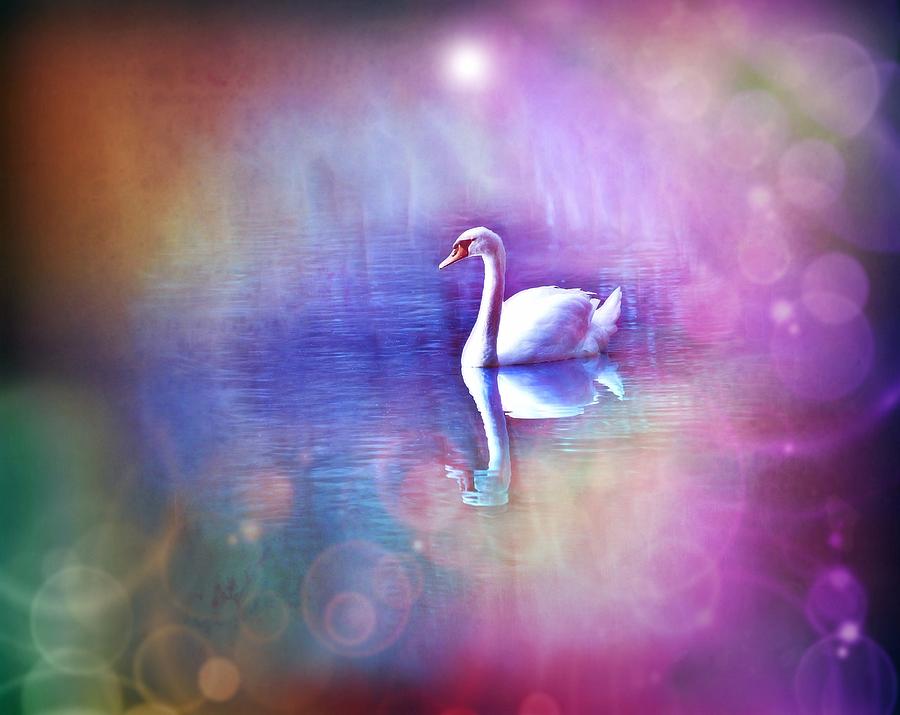 White Swan in colorful fog Digital Art by Lilia D