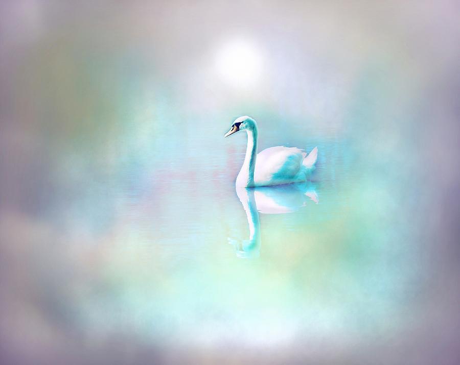 White Swan in the fog Digital Art by Lilia D