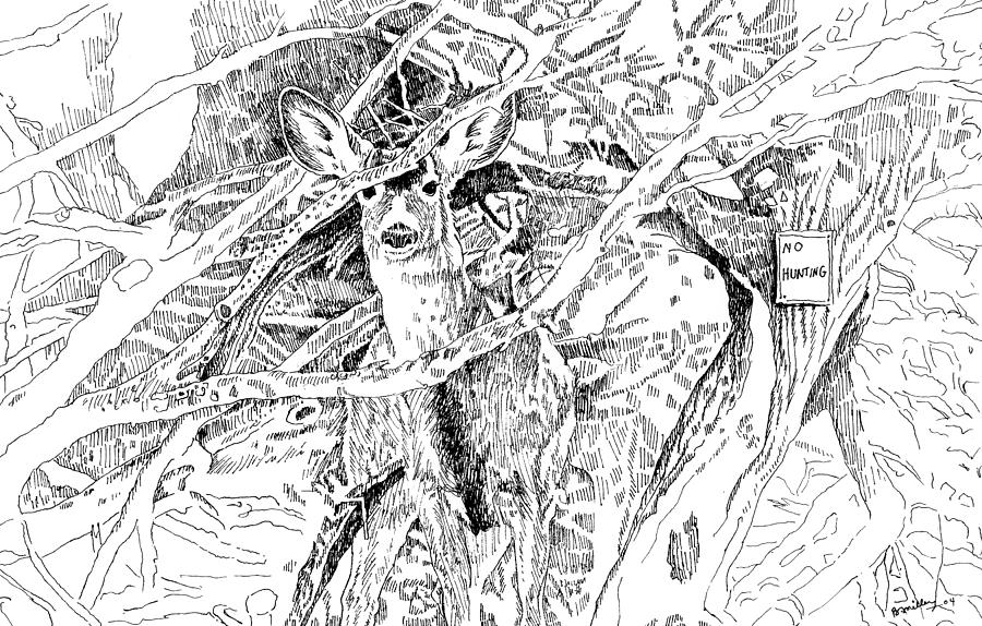 White-tail Encounter Drawing by Bern Miller