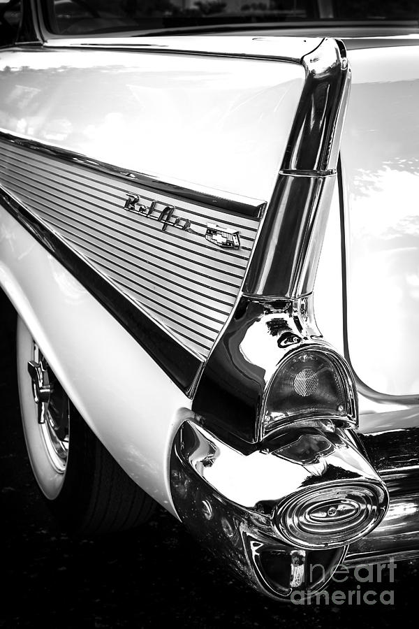 White Tailfin Photograph by Dennis Hedberg