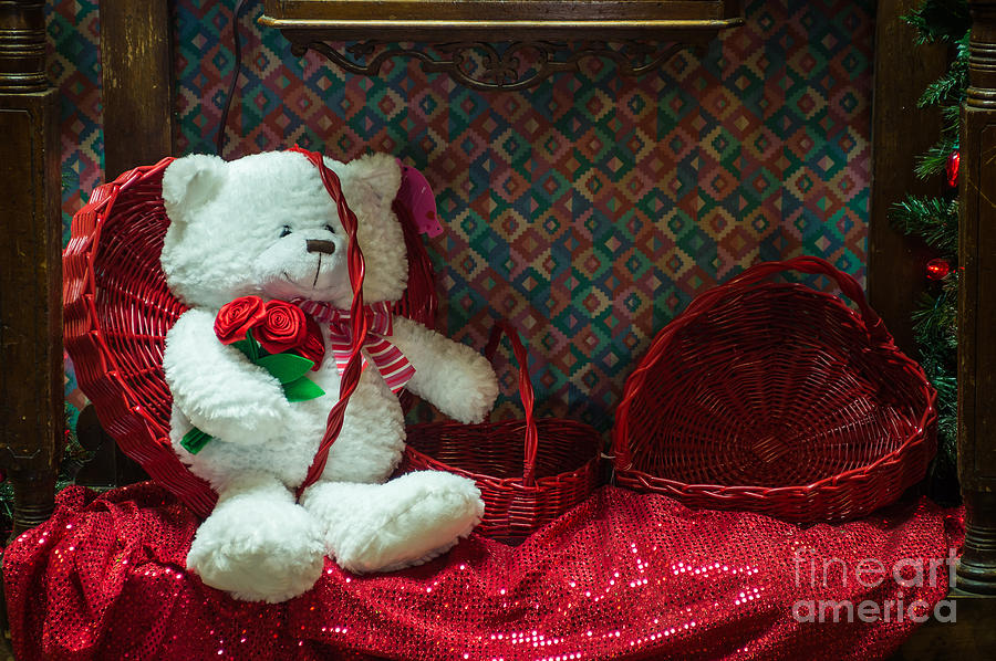 White Teddy Bear for Valentines Day Photograph by Imagery by Charly