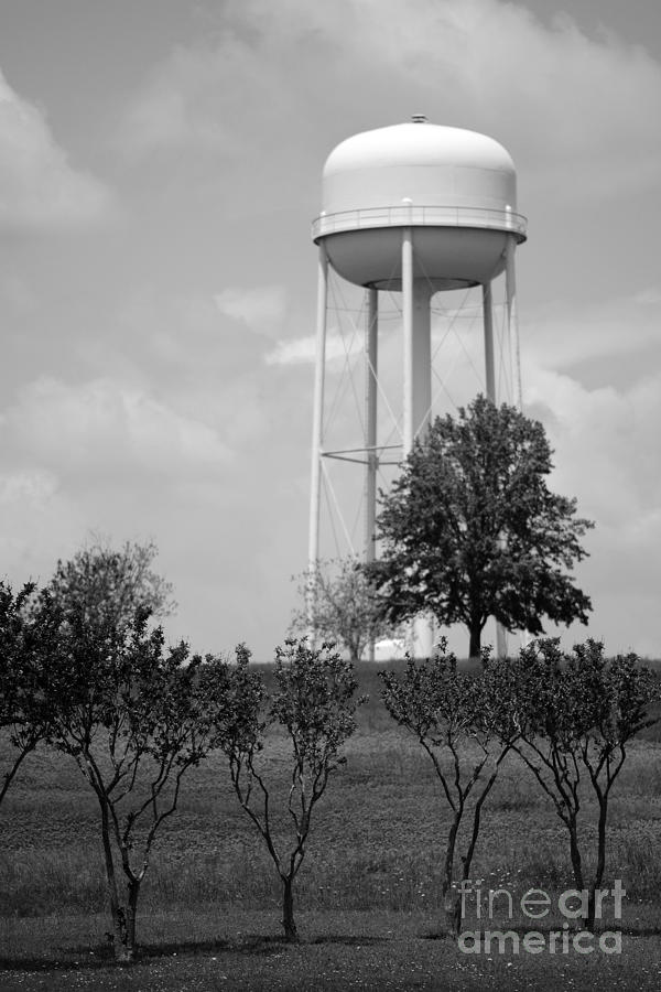 Tree Photograph - Brenham Texas Watertower by Connie Fox
