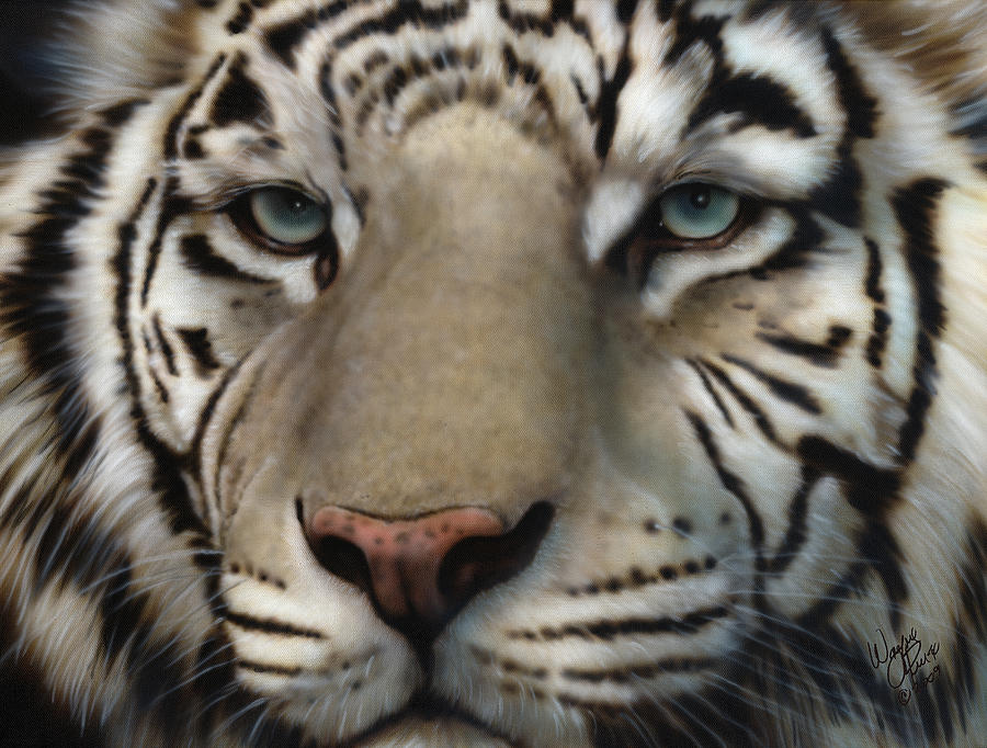 Animal Painting - White Tiger - Up Close and Personal by Wayne Pruse