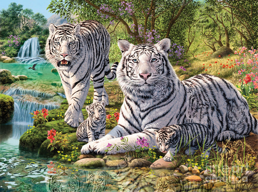 White Tiger Clan Photograph by MGL Meiklejohn Graphics Licensing