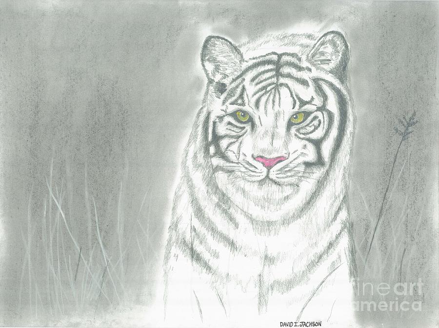 White Tiger Pastel by David Jackson