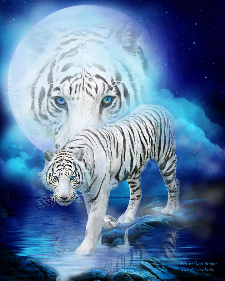 White Tiger Moon Mixed Media by Carol Cavalaris