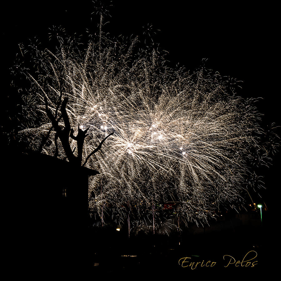 Fireworks Photograph - White Trees by Enrico Pelos