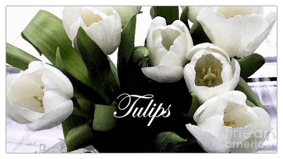 White Tulips Photograph by Joan-Violet Stretch
