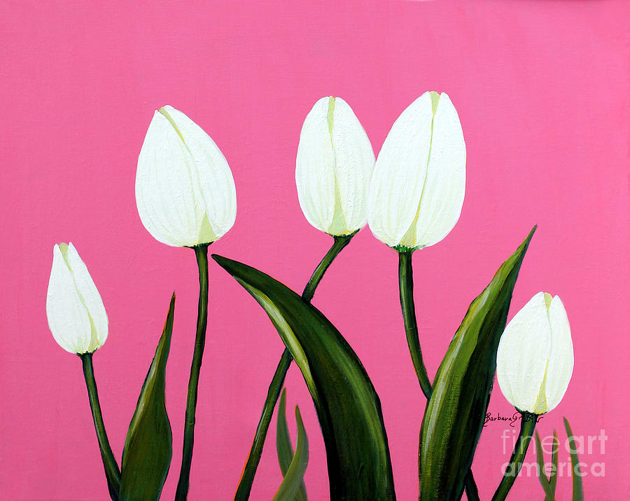 Flower Painting - White Tulips on Pink by Barbara A Griffin