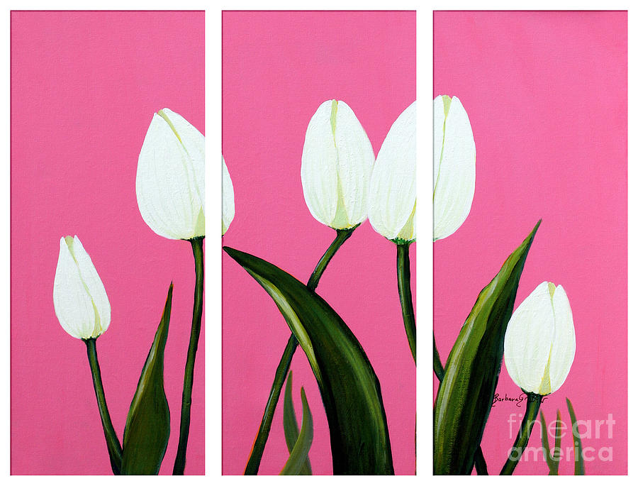 White Tulips on Pink Triptych Painting by Barbara A Griffin